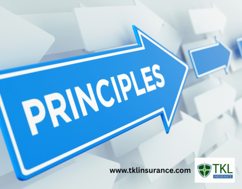 7 Principles of Insurance with Example