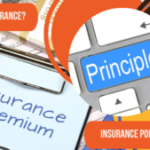 7 principles of insurance with example