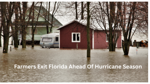 Farmers Exit Florida