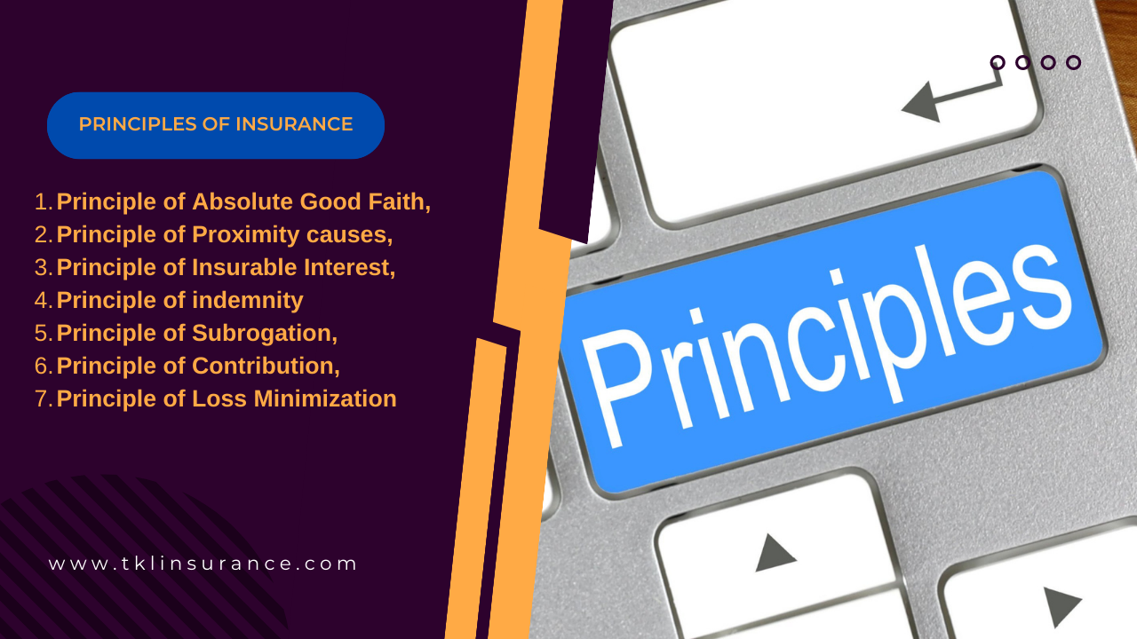 principles of insurance