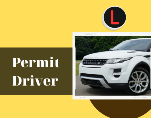 Permit Driver