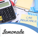 Lemonade car insurance review