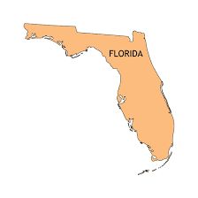 Root Car Insurance in Florida for Young Drivers in 205